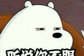 莲都贷款清欠服务